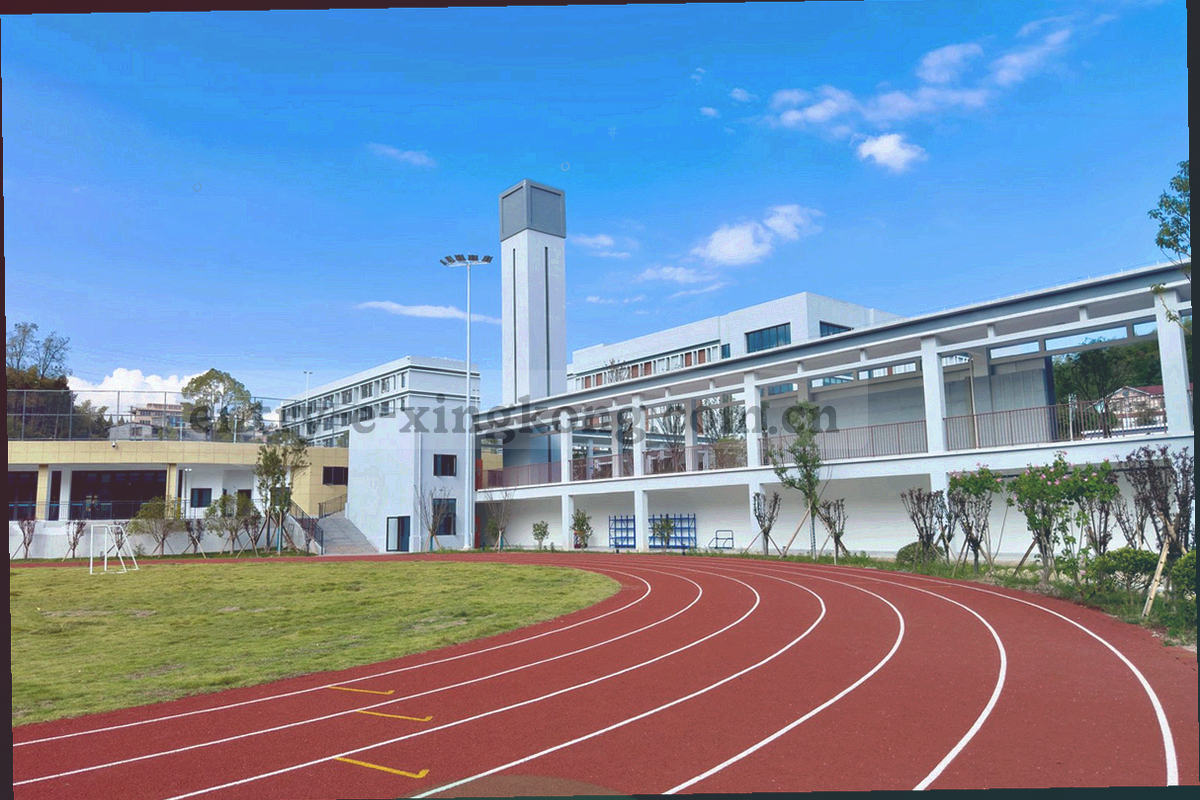 回看入口面板与订阅记录并列的深色界面